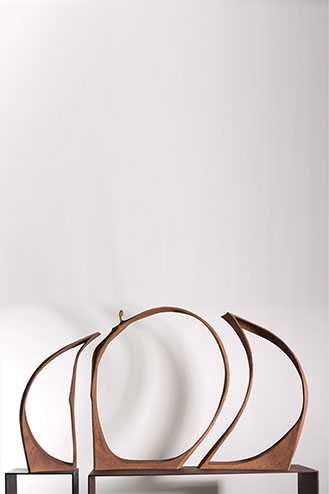 Racine, branche, racine branche, sculpture resine, resine, sculpture plexiglass, plexiglass, s’enraciner, touver ses racines