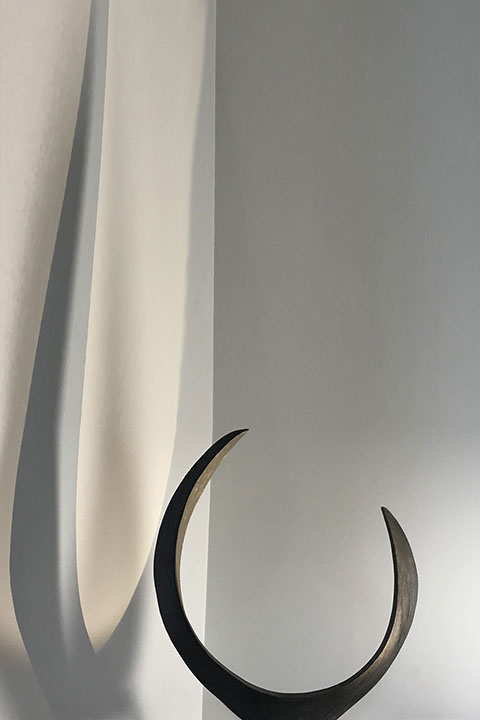 Racine, branche, racine branche, sculpture resine, resine, sculpture plexiglass, plexiglass, s’enraciner, touver ses racines