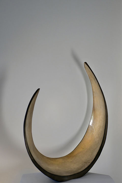 Racine, branche, racine branche, sculpture resine, resine, sculpture plexiglass, plexiglass, s’enraciner, touver ses racines