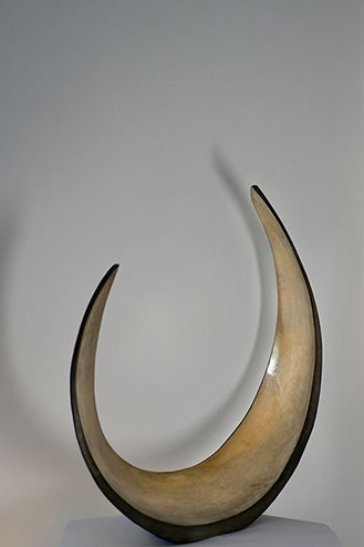 Racine, branche, racine branche, sculpture resine, resine, sculpture plexiglass, plexiglass, s’enraciner, touver ses racines