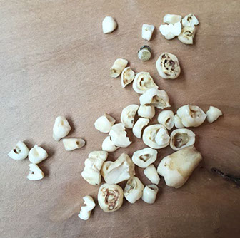 Chloe Desrousseaux, Atelier, matiere, Entendre MATIERE parler, transparence albatre, cire rouge, ecorce bouleau, sculpture, pierre, bronze