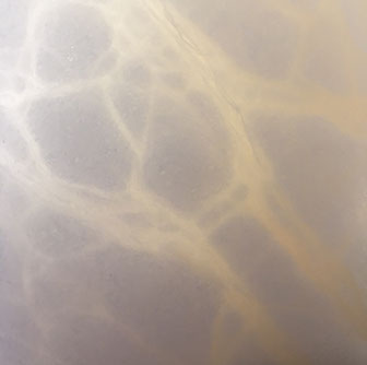 Chloe Desrousseaux, Atelier, matiere, Entendre MATIERE parler, transparence albatre, cire rouge, ecorce bouleau, sculpture, pierre, bronze