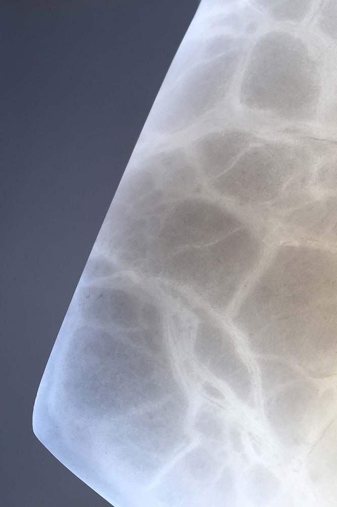 Racine, branche, racine branche, sculpture resine, resine, sculpture plexiglass, plexiglass, s’enraciner, touver ses racines