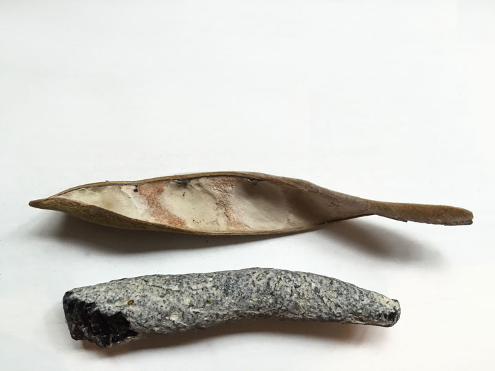 Chloe Desrousseaux, Atelier, matiere, Entendre MATIERE parler, transparence albatre, cire rouge, ecorce bouleau, sculpture, pierre, bronze