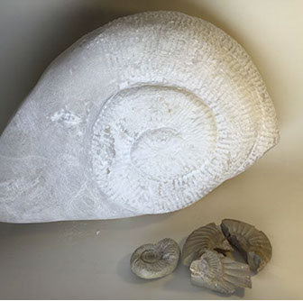 Chloe Desrousseaux, Atelier, matiere, Entendre MATIERE parler, transparence albatre, cire rouge, ecorce bouleau, sculpture, pierre, bronze