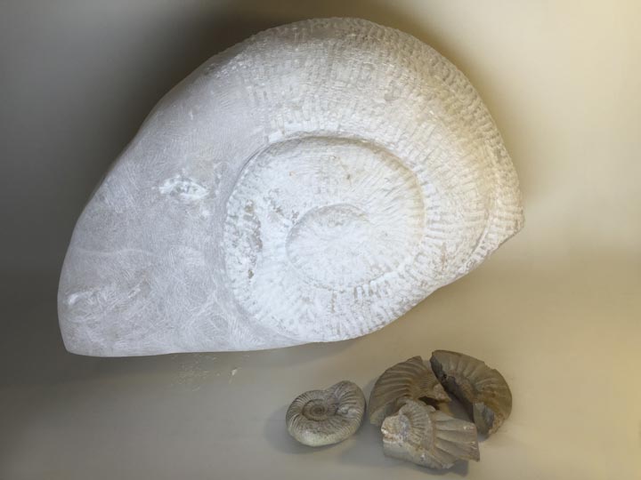 Chloe Desrousseaux, Atelier, matiere, Entendre MATIERE parler, transparence albatre, cire rouge, ecorce bouleau, sculpture, pierre, bronze