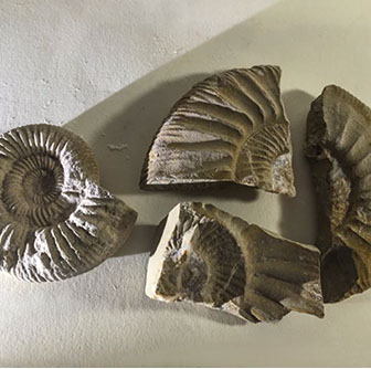 Chloe Desrousseaux, Atelier, matiere, Entendre MATIERE parler, transparence albatre, cire rouge, ecorce bouleau, sculpture, pierre, bronze