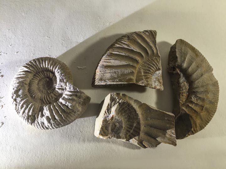 Chloe Desrousseaux, Atelier, matiere, Entendre MATIERE parler, transparence albatre, cire rouge, ecorce bouleau, sculpture, pierre, bronze