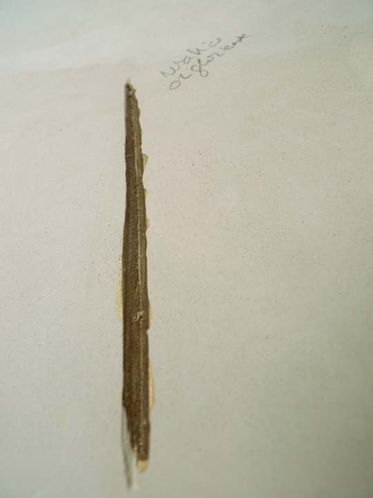 Chloe Desrousseaux, Atelier, matiere, Entendre MATIERE parler, transparence albatre, cire rouge, ecorce bouleau, sculpture, pierre, bronze