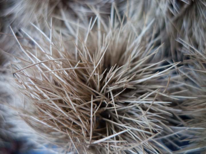 Chloe Desrousseaux, Atelier, matiere, Entendre MATIERE parler, transparence albatre, cire rouge, ecorce bouleau, sculpture, pierre, bronze