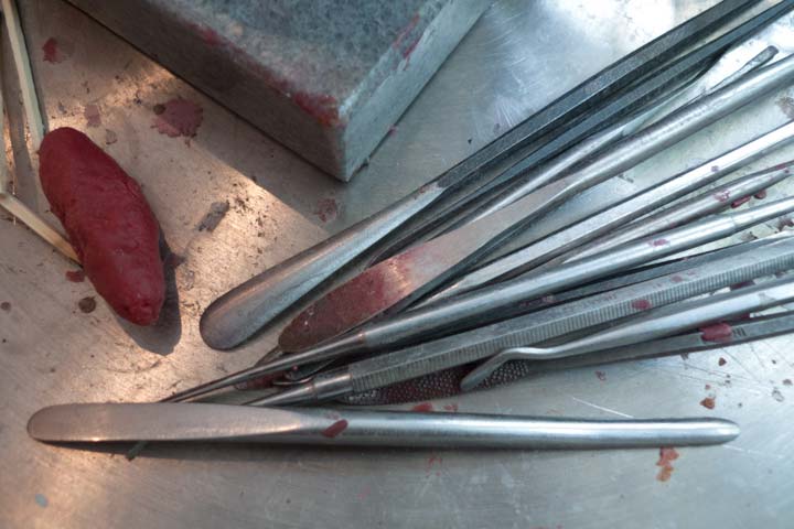 Chloe Desrousseaux, Atelier, matiere, Sculpture, Entendre MATIERE parler, transparence albatre, cire rouge, ecorce bouleau, sculpture ecorce