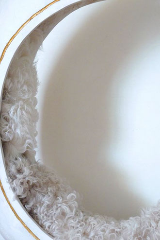 Racine, branche, racine branche, sculpture resine, resine, sculpture plexiglass, plexiglass, s’enraciner, touver ses racines