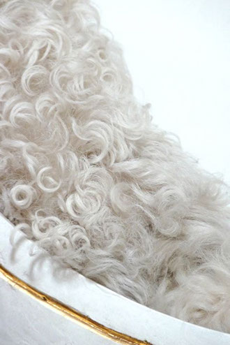 Racine, branche, racine branche, sculpture resine, resine, sculpture plexiglass, plexiglass, s’enraciner, touver ses racines